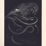 mezzotint print Rubikova veronika