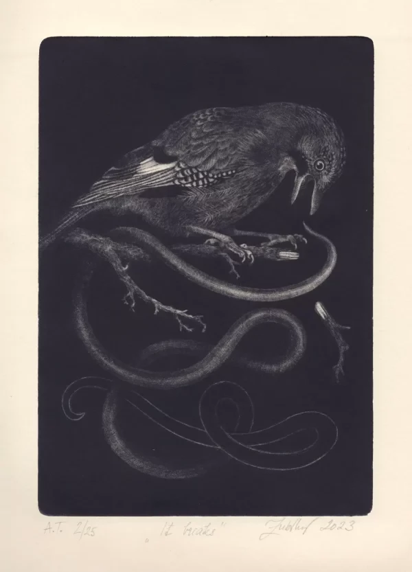 mezzotint print Rubikova veronika